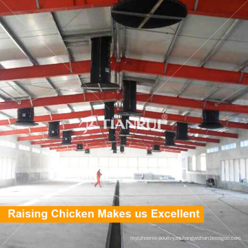 China famosa fábrica Tianrui diseño Morden Chicken Farm estructuras